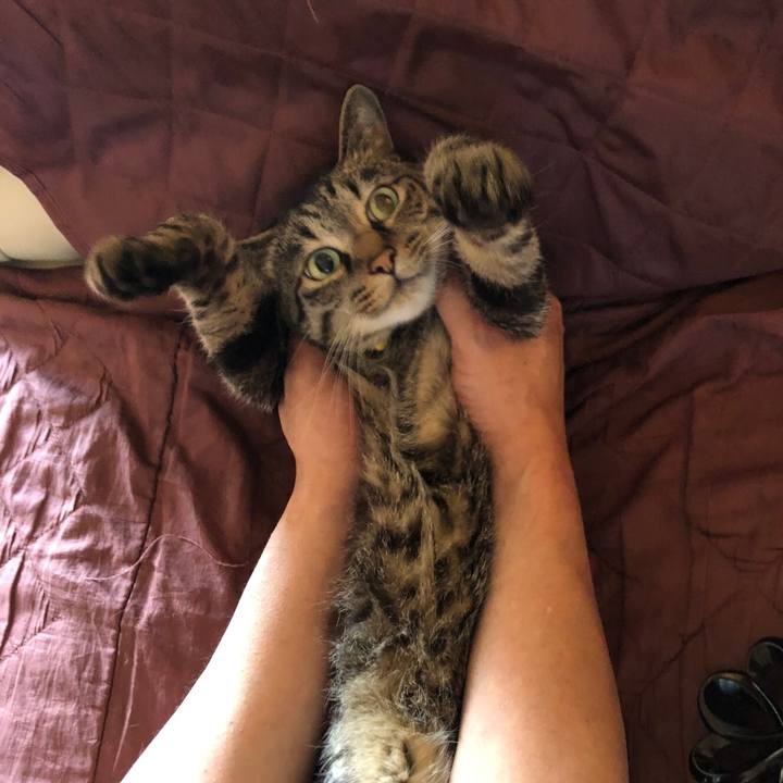 6e75e3a6 7df5 4ae6 b767 cc1f5e070398 1587527758926