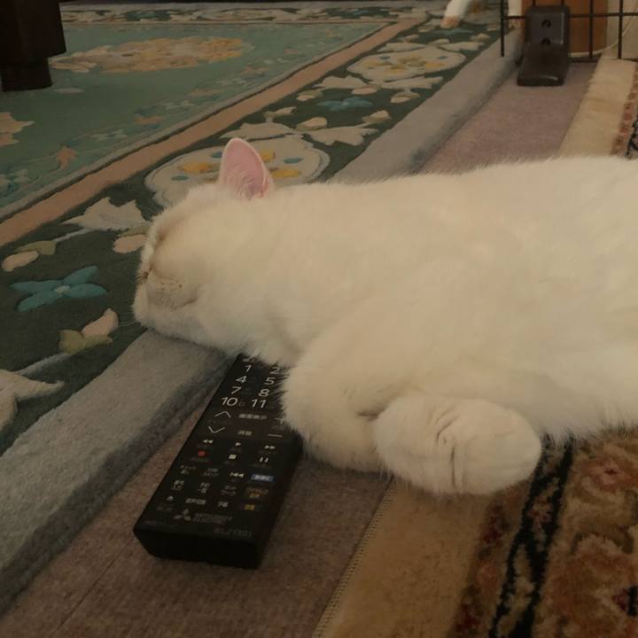 6e761113 ffdc 44cc 9280 0919635cca06 1661062631129