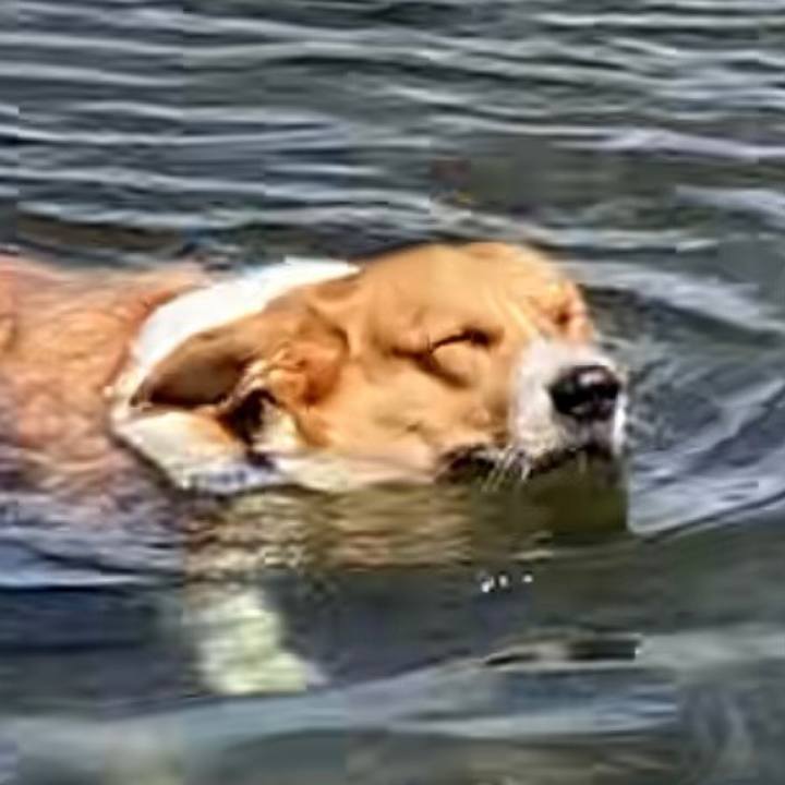 6e761700 7668 432d 92bb 5b09c29aeddf 1658925512655