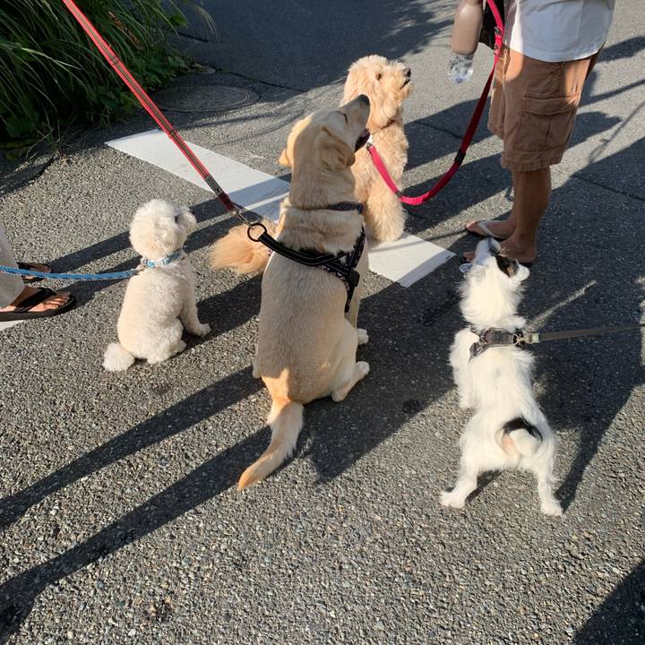 6e761fc7 4a9d 4143 b667 0b1ede09e464 1728257923029