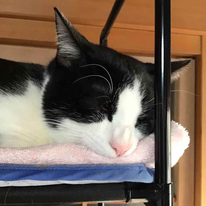 6e765b21 be3d 466a 8927 f6988ac089cc 1643066023852