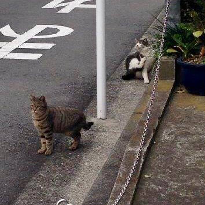 6e767007 c1c2 44ed 892f 4981550cb4b2 1573360350670