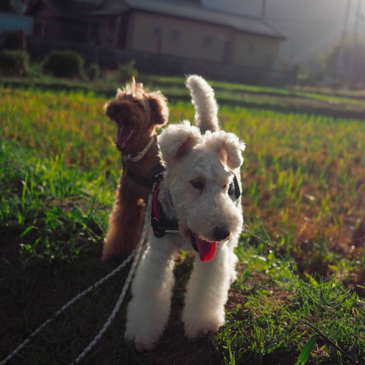 6e7683e4 584e 4a43 b5fc 2e4a63134284 1569241469031