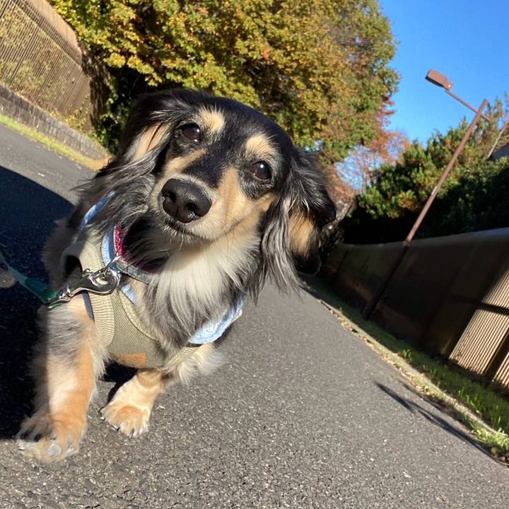 6e768fae 890e 44d2 9618 0095e31af922 1763820662135