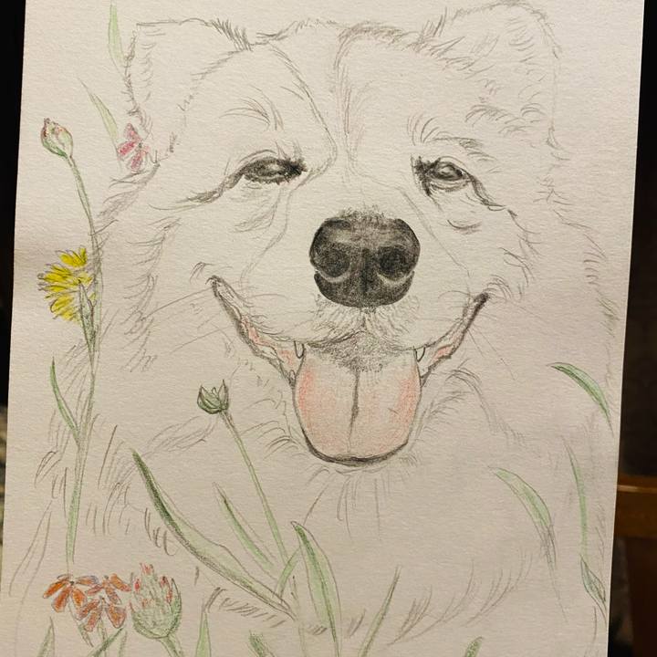 6e76bd00 0e39 491b a317 19f808c4d9a2 1627558376182