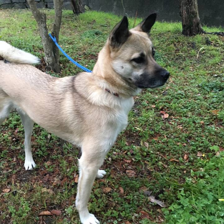 6e76fe6b bd3c 4872 9f0a 50f589519f02 1516275170780