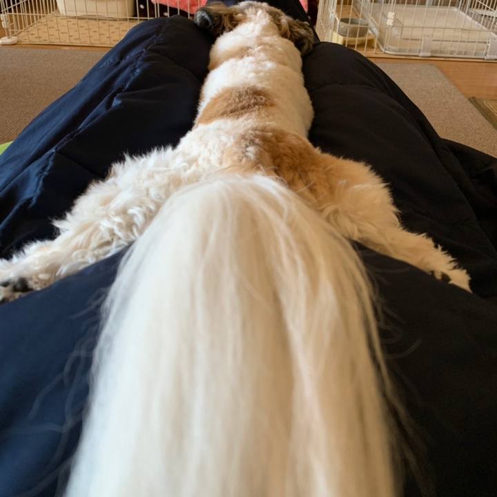 6e7701cb ff7e 4d9e 8cd1 5135f226d7f4 1548777199175