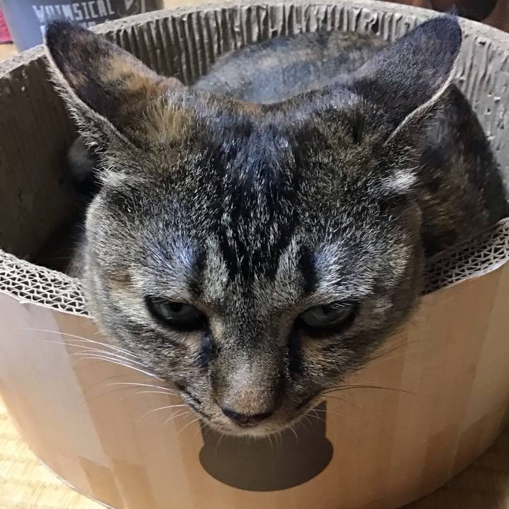 6e77041a 9157 46e4 9022 3322c918f14c 1726224522839