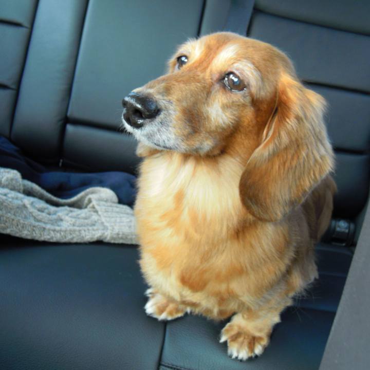 6e770d3b d8dd 4b68 adf9 ee5c472f792a 1551548008518