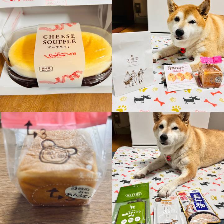 6e772ee6 8648 4400 9ea5 2db91372cbdc 1730452868855