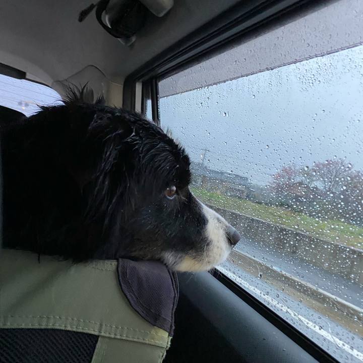 6e77333b edce 451e b368 dbd1c020e82d 1647555192539