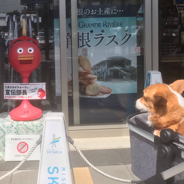 6e773709 f4d9 497f 92f2 c619925eb9d2 1616923313254
