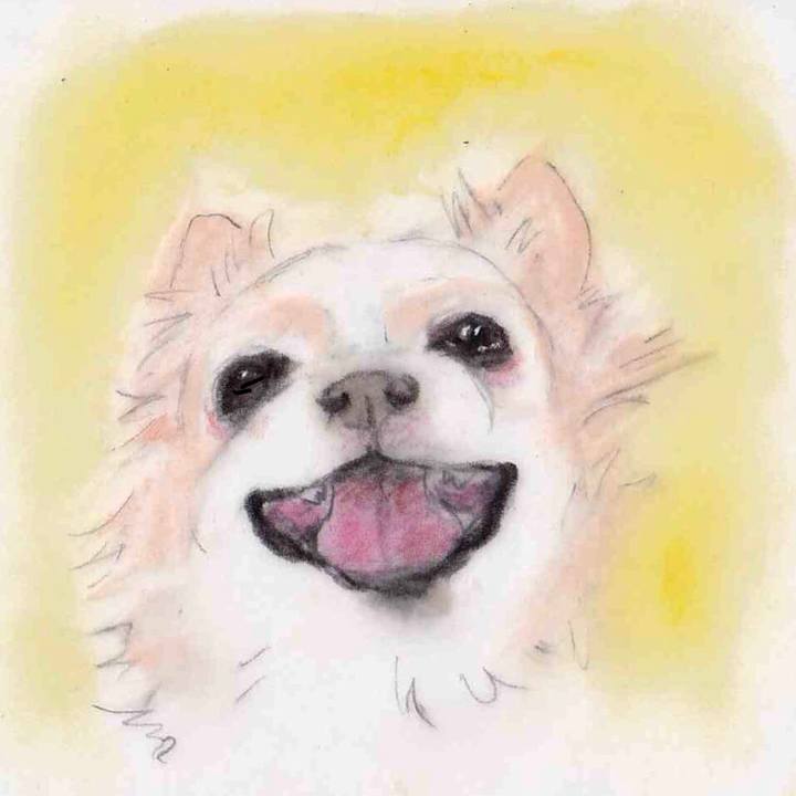 6e779edf 2817 47a7 aebd 60875931b464 1632451502938