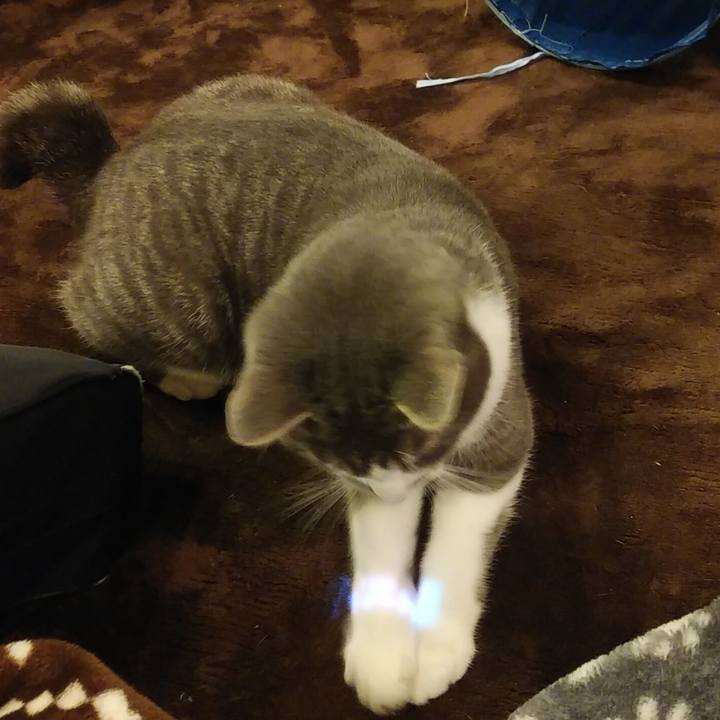 6e77b24c 223f 4011 a47f 56bc84bfbf44 1581254743426