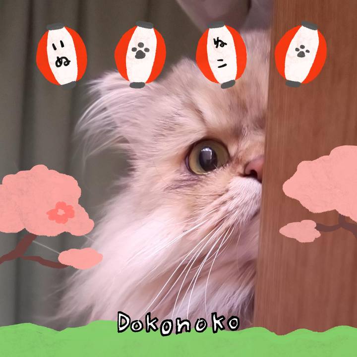 6e77b50a cb3b 41d7 b09c 606a53fa12e1 1712715606783