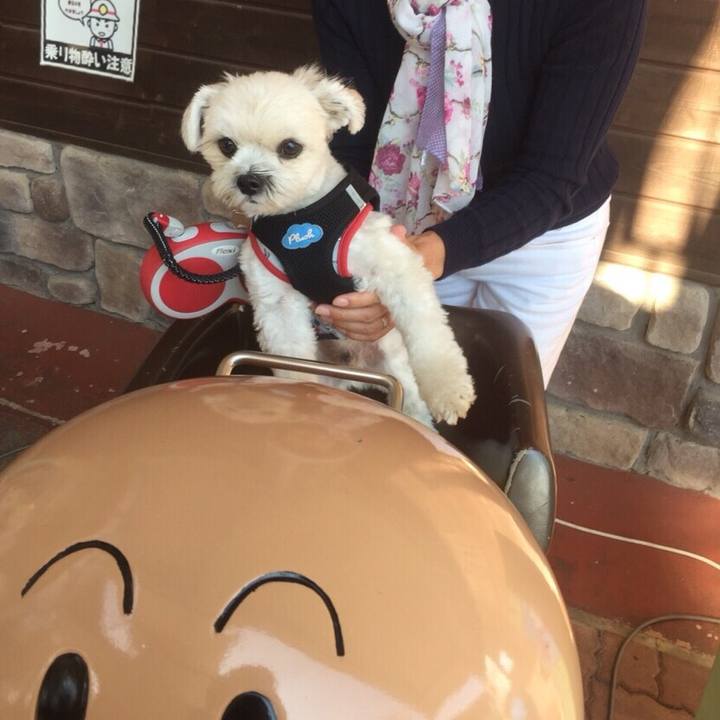 6e77c480 52a1 4454 8d06 69194fb33d25 1524745632733