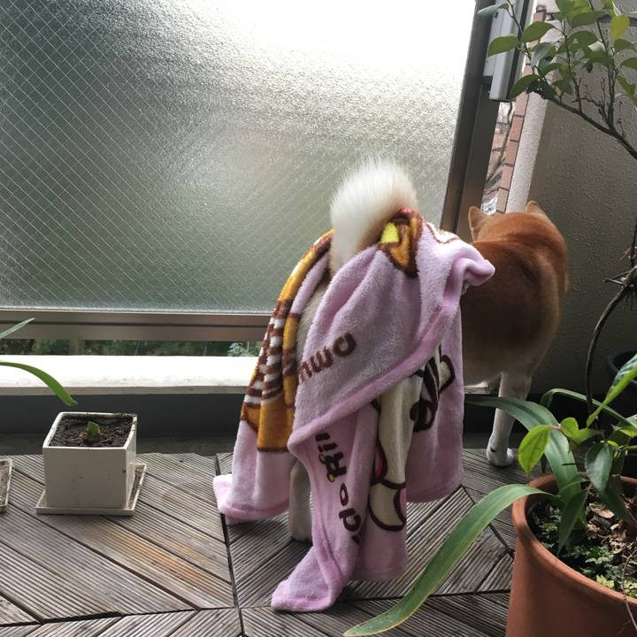 6e780c60 d449 4f55 b0a9 c80a499c5773 1769124395865