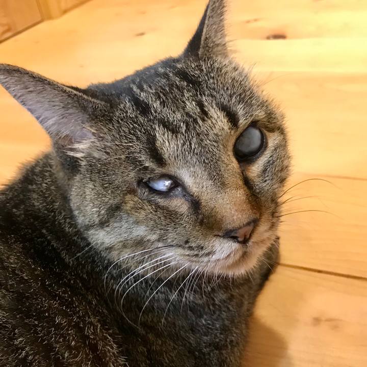 6e7814bd bc13 4b97 b0cf e80625ec7c32 1596879548970