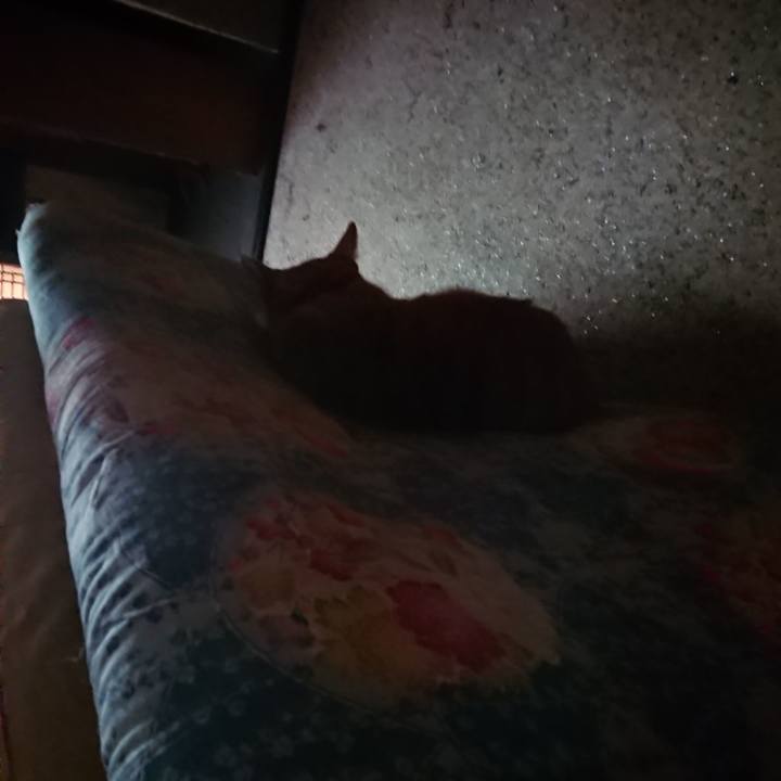 6e7818c3 32d2 47dd ae86 5b5cee74eb44 1600640250860