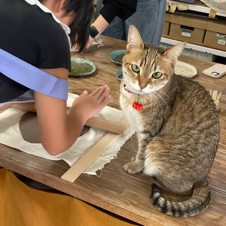 6e7853cc 4d45 4fc8 a0ed 957078cc086b 1743079107257