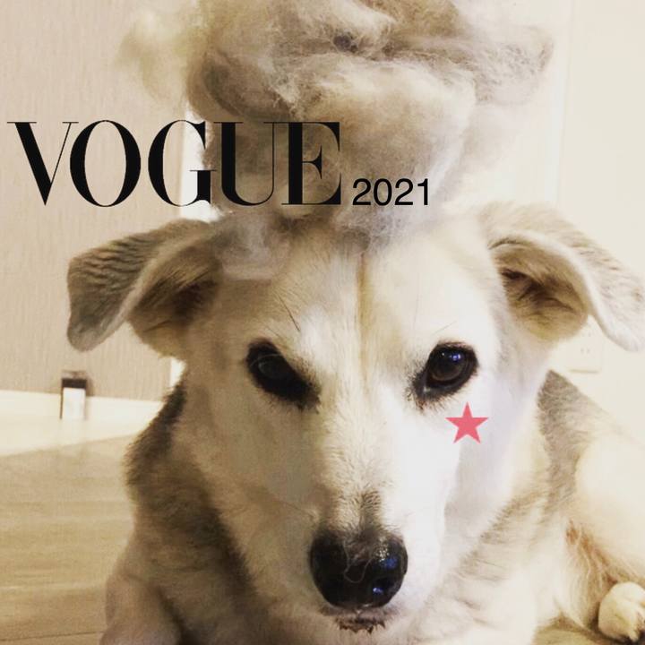 6e7875b0 0cc8 43ab baeb d5848001a83e 1621945502624