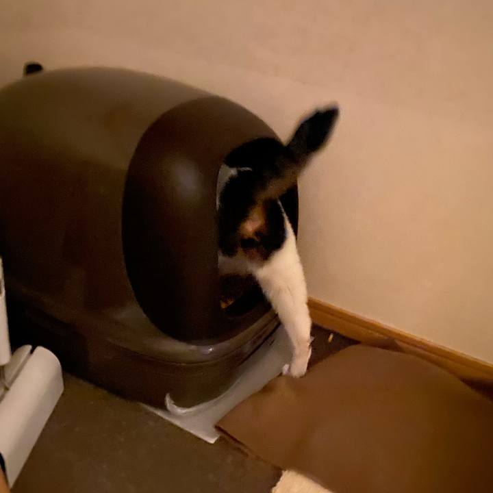 6e788f6e 0b96 4bb8 be2c 584283f73a97 1774191106634