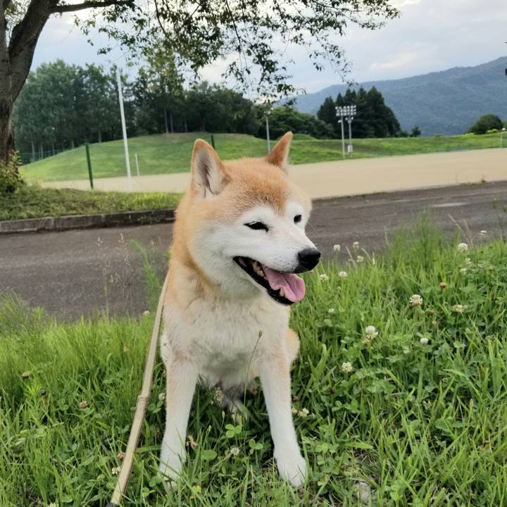 6e78906c 9f40 456c 861b a1ed73ed75e3 1658737118526