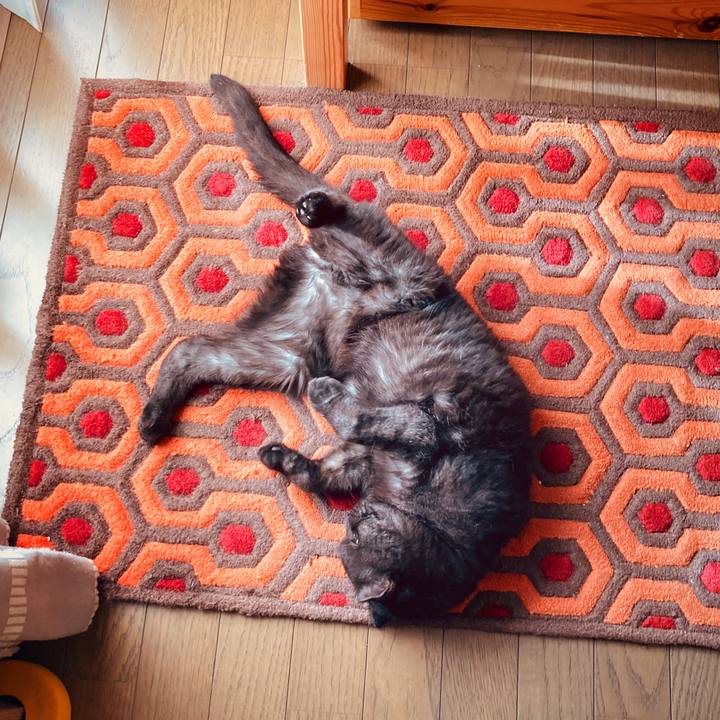 6e78945e fc51 41a2 99d3 8fe6478eda97 1597912007581