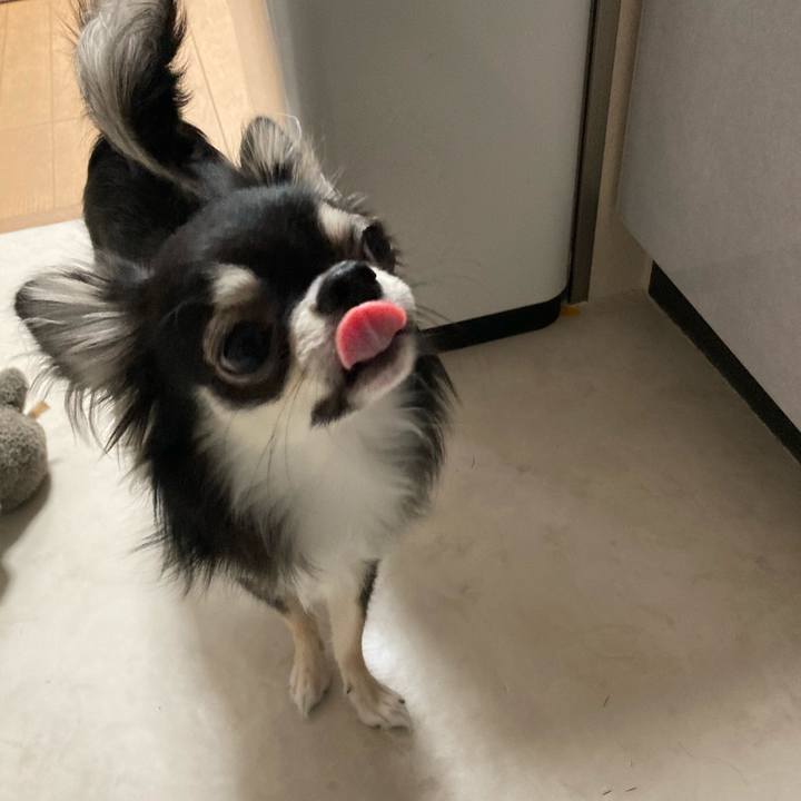 6e78f290 eb2e 48f8 a6f8 8d6555fb97ed 1606626168145