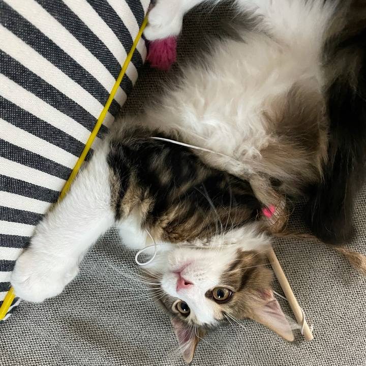 6e790cae 03e4 45b2 972a b60cb57fda80 1634247452171