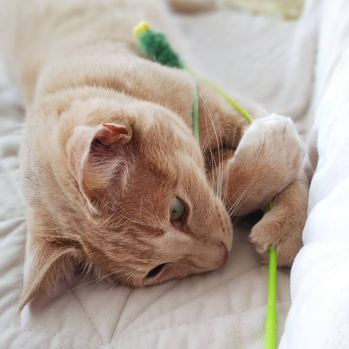 6e79288a 25f3 47c9 b74f d6c57ebf3d18 1624314297377