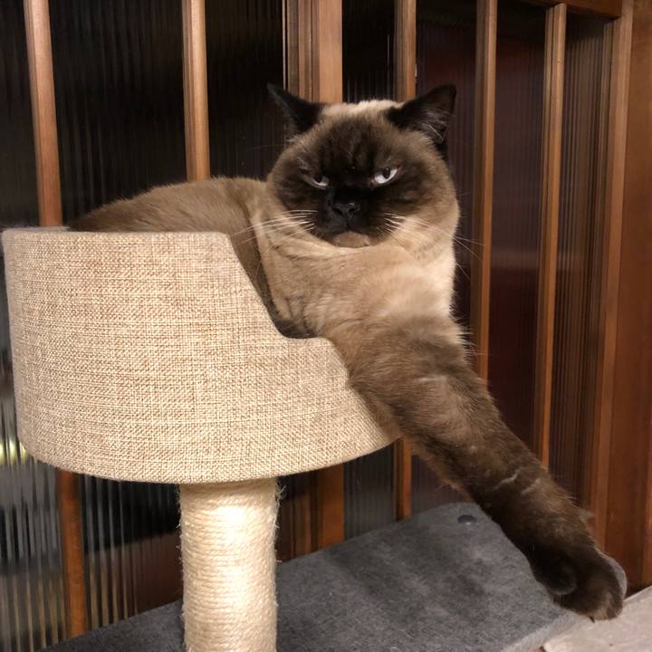 6e792ee1 44a2 49c6 b4c0 e92494d92f45 1619265354488