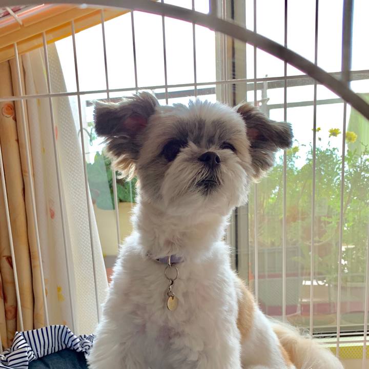 6e7953c8 2a5f 47dc bb55 a522bcedf26a 1563240071180