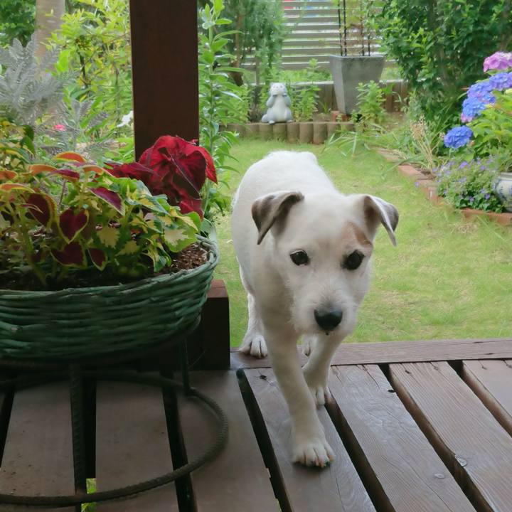 6e798b3b 65b9 4d91 88e6 3cfd4091a050 1529017222145