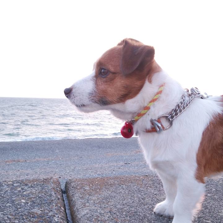 6e799bc8 e3a1 4f6e a778 20d5ec2fcd0a 1521238100502