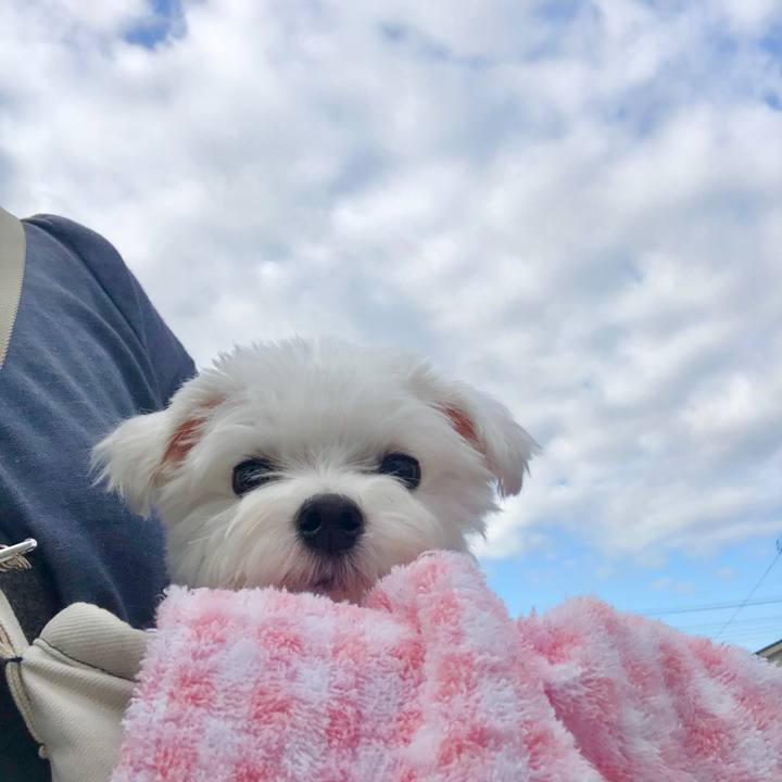 6e79c273 45df 4f4e 9982 39d8de6b9792 1600151340133