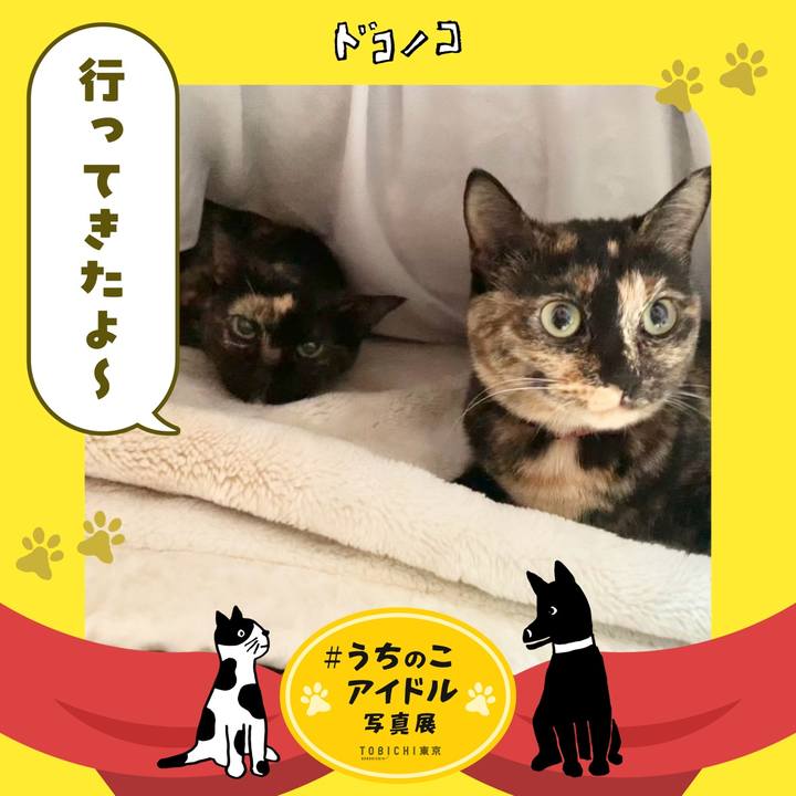 6e79ca1a 48bc 47f6 8137 f1704a468116 1761482787026