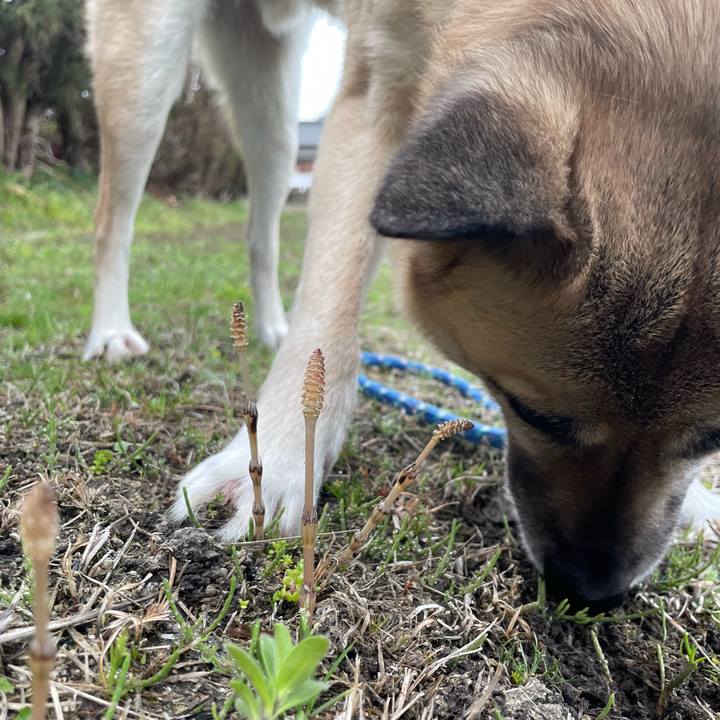 6e79e2a5 c7f6 4862 aea4 2049e6e7d297 1647516209066