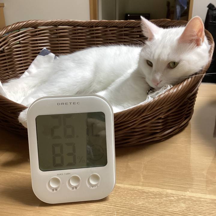 6e79eced 063a 48cd b551 8e57fac4c69c 1692223624699