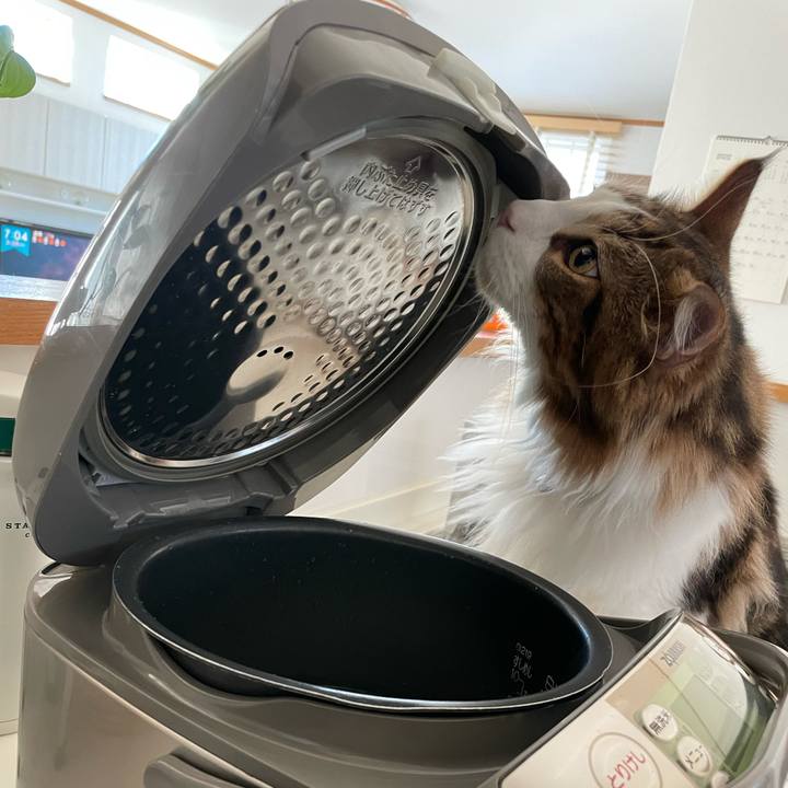 6e7a3bad 25c9 4210 8ef4 8c84d1c9c878 1648418907007