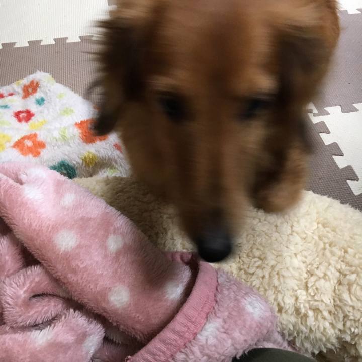 6e7a4547 a93c 4b51 9934 ce3480d951db 1544017792088