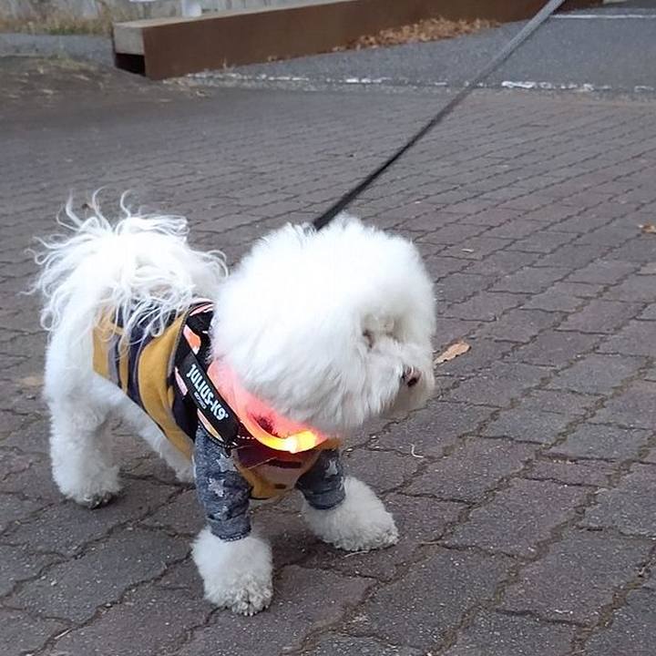 6e7a69a8 422c 4ce2 946f cb61f5fc477a 1608022228338