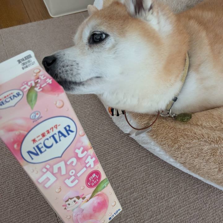 6e7aae16 4c99 4f9d b188 d5f231a451bd 1764463751749