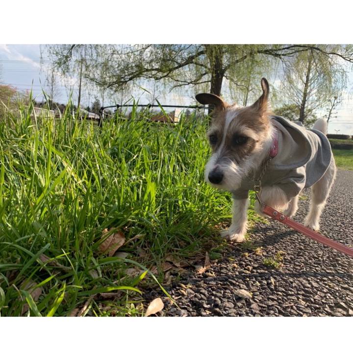 6e7af6e7 f64a 4a3e 8cf0 434c1a79f35f 1584951825435