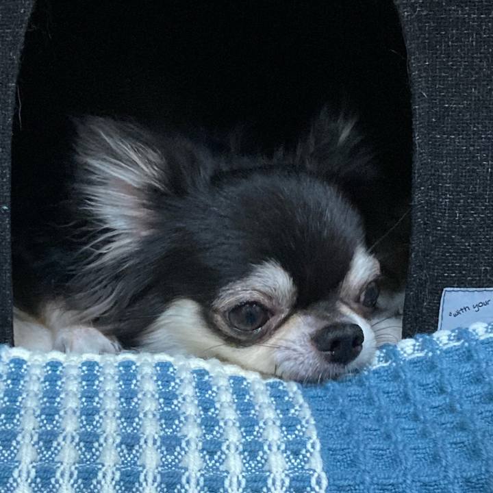 6e7b31cc ed43 409e b892 5219ebe3aee1 1661696800295