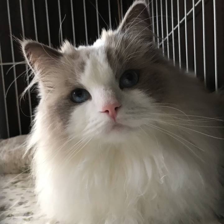 6e7b4380 af9c 4297 b110 f16e747abf4c 1572662979521