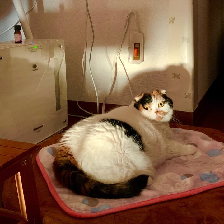 6e7b50e9 fb82 482c b8ac 515c3ef67706 1576114891341