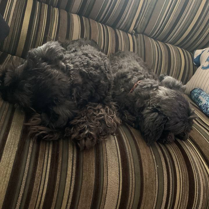 6e7b5474 b5ea 47af b57d 266602eddcb7 1588222736329