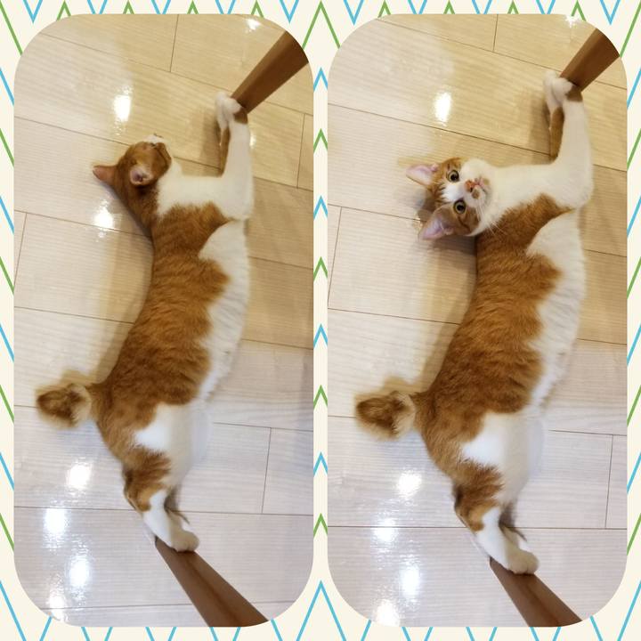 6e7bc852 feb1 4a27 944f d5bd39f78ab3 1533561185417