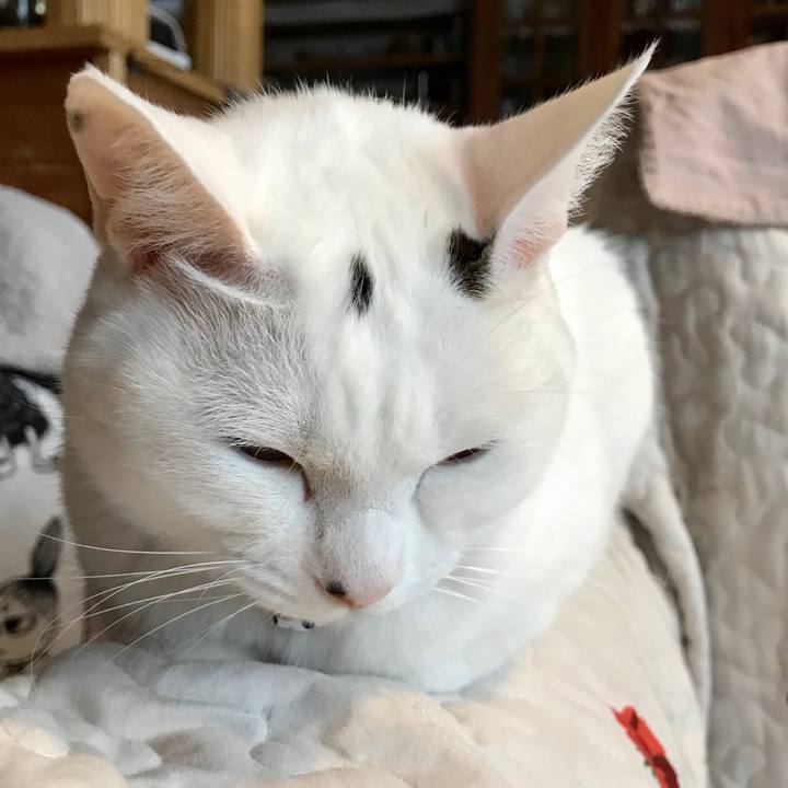 6e7bd510 efb5 4fc7 962b 6a228025984a 1550613785991